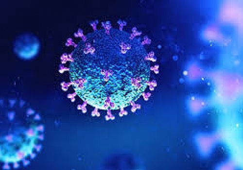 Koronavirüse Ardahan da 5 Kişi Yakalandı 