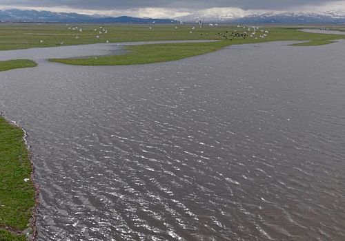 Kura Nehri Coştu: Ardahan Ovası Sahile Dönüştü