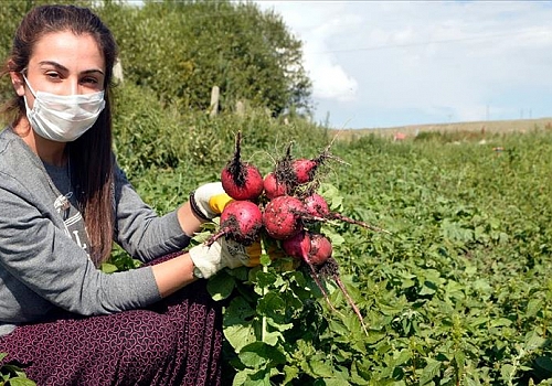  Liseli Nazlıcan okulda, bahçede ve pazardaki çalışmalarıyla ailesinin gururu oluyor