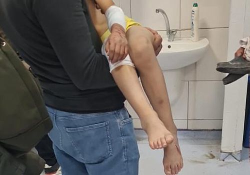 Malatya'da 9 yaşındaki çocuğa 6 tane başıboş köpek saldırdı