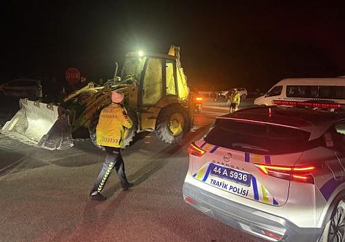 Malatya’nın Akçadağ ilçesinde safkan Arap tayları kazada telef oldu