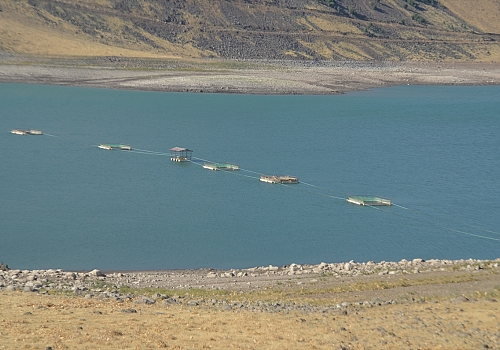 Muş Alparslan-1 Barajı'nın sularının çekilmesiyle eski yapılar ortaya çıktı