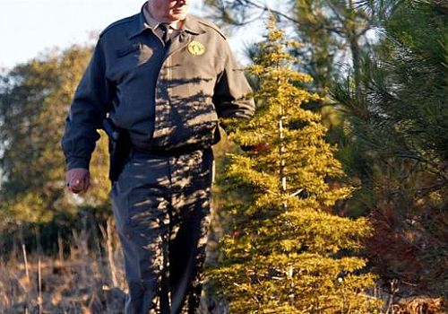 Ormanlarda Kaçak Kesime Karşı Kesintisiz Güvenlik Uygulaması