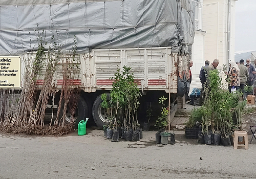 Pazar Değil Botanik Bahçesi! Ardahan’da Fidan Satışları Başladı