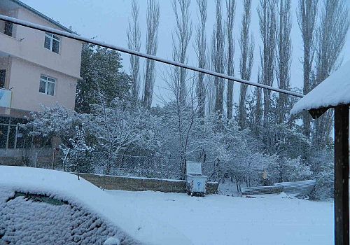 Posof güne kar yağışıyla uyandı