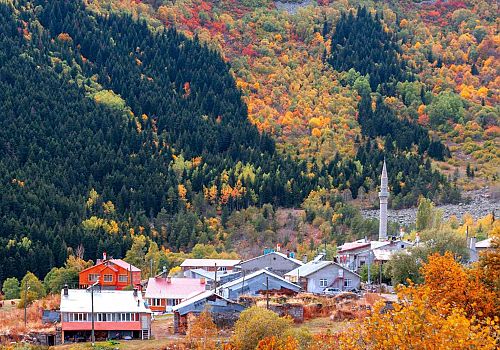 Posof, Sakin Şehir Yolunda Kritik Eşiği Aştı