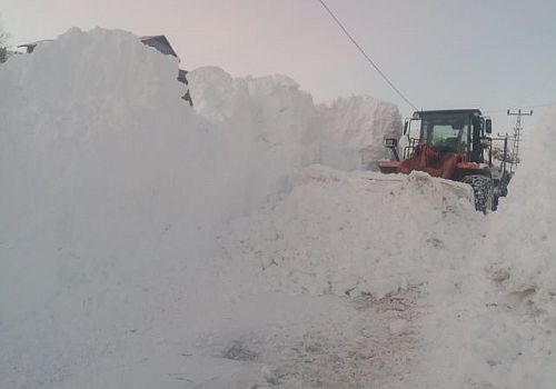 Posof ta etkili olan yoğun kar yağışı ve tipi hayatı olumsuz etkiliyor 