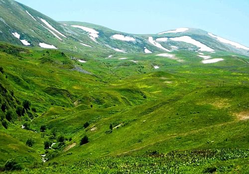Posof ta, haziran ayıyla birlikte yaylaya çıkışlar başladı