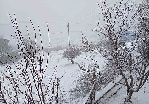 Posof’ta Kar Yağışı Hayatı Olumsuz Etkiledi