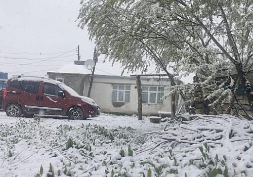 Posof ta  kar yağışı ulaşımı olumsuz etkiledi