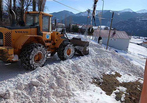 Posof’ta Karla Mücadele Çalışmaları Başladı
