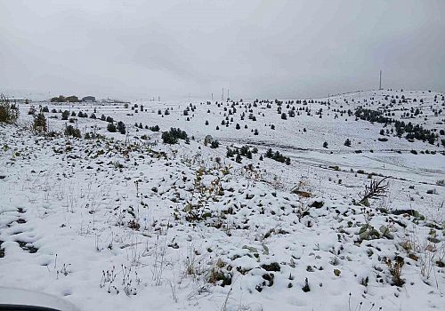 Posof’ta Mevsimin İlk Karı: İlçe Beyaza Büründü