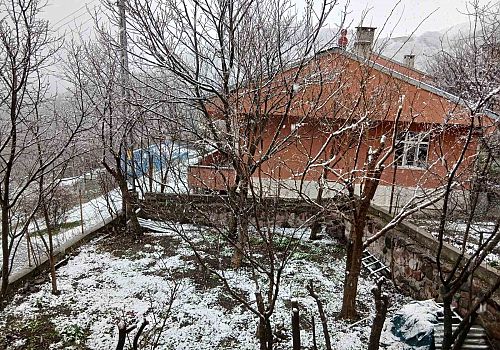 Posof’ta Nisan Sürprizi: Yeşil ile Beyazın Büyüleyici Buluşması