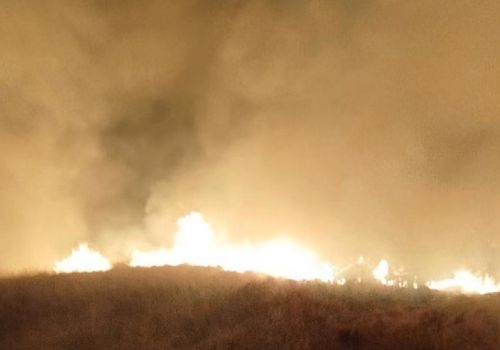 Posof’ta yayla bölgesinde çıkan yangın kısa sürede kontrol altına alındı