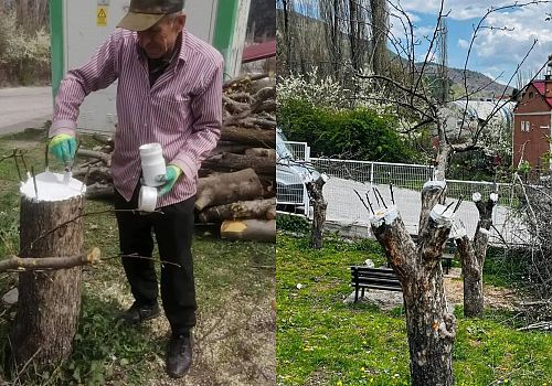 Posof’un Genetik Mirası Güvence Altında: Meyve Çeşitleri Gen Bahçesi Kuruldu