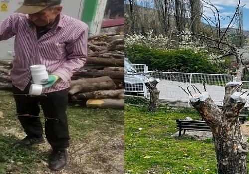 Posof’un Genetik Mirası Güvence Altında: Meyve Çeşitleri Gen Bahçesi Kuruldu