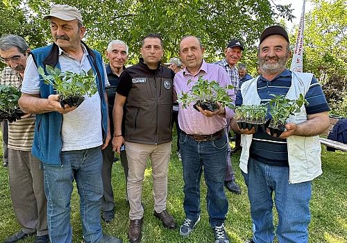 Posof'un tarımsal potansiyelini artırmak için Çiftçilere fide dağıtıldı 
