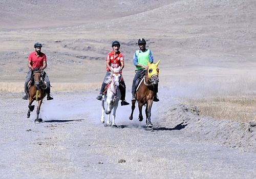 Rahvan At Yarışları, 7. Doğu Anadolu Şampiyonası Ardahan'da düzenlenecek