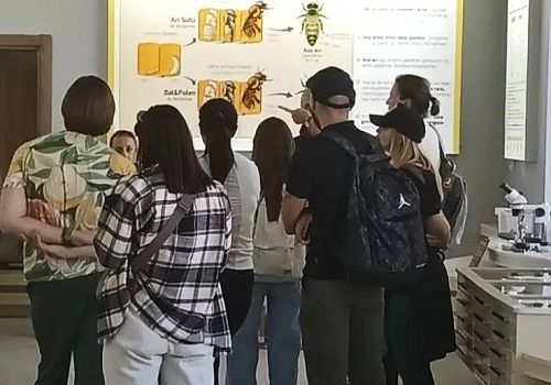 Ruslar Ardahanı Çok Sevdi 