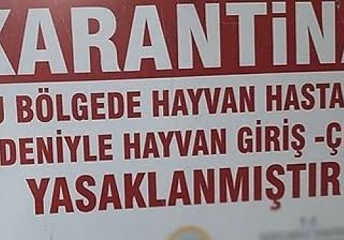 Şap hastalığı nedeniyle Ardahan’da karantina uygulanırken, hayvan pazarı da kapatıldı