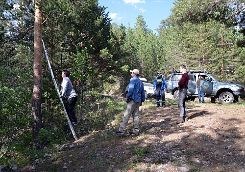 Sarıçam ormanlarındaki fotokapanların kırılmasına tepki
