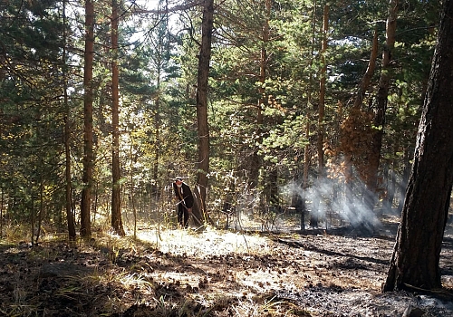 Sarıkamış Ormanları'nda çıkan yangın söndürüldü