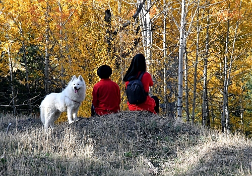 Sarıkamış Ormanları'nda sonbahar güzelliği