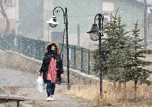 Sarıkamış'ta kar etkili oldu