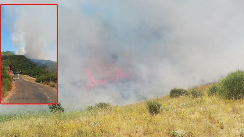 Şarköy'de makilik yangını; 5 hektar yandı