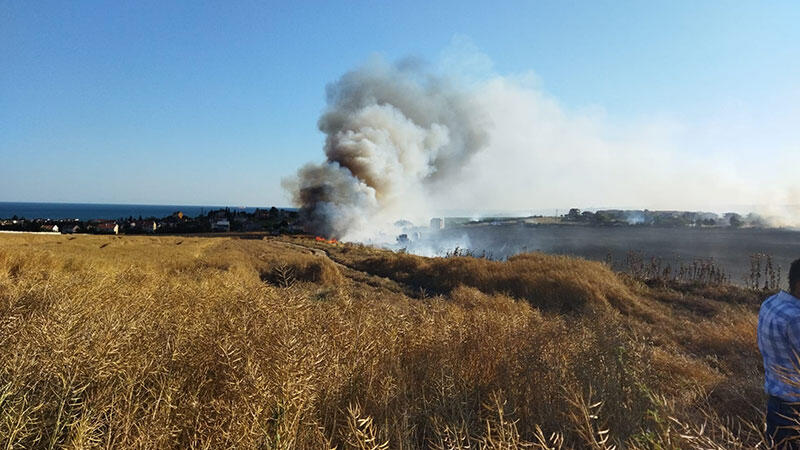 Silivri'de buğday tarlası alev alev yandı