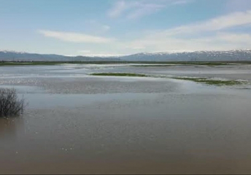 Sular Altında Kalan Ardahan Ovası böyle görüntülendi