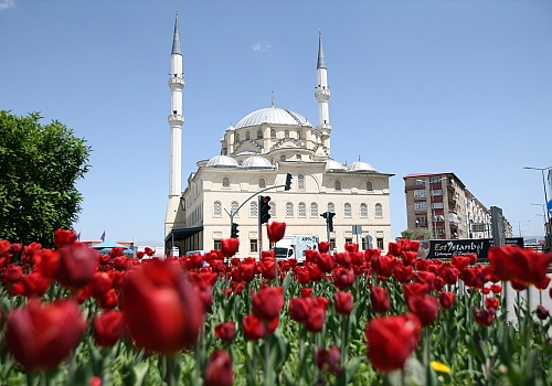 Tarih kokan şehir Erzurum bahar renklerine büründü