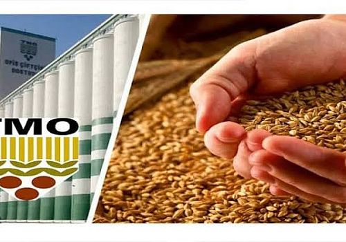 TMO Ardahan'da hububat alımına 16 Eylül 2024 tarihinde start verecek