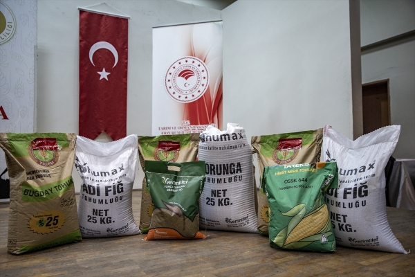 Tohum desteği verilen Erzurum'da yaygın tarıma geçiliyor