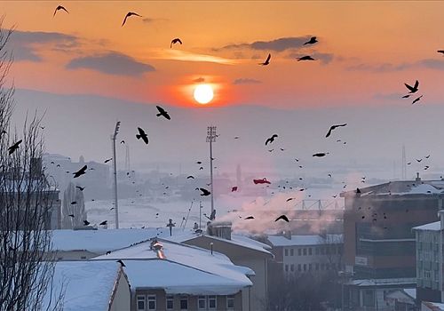 TÜİK 2025 nüfus verilerini açıkladı: Türkiye’nin nüfusu 86 milyonu aştı Ardahanın Nüfusu 90 bin 392