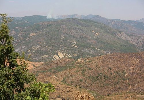 Tunceli’deki orman yangınlarını PKK çıkarmış!