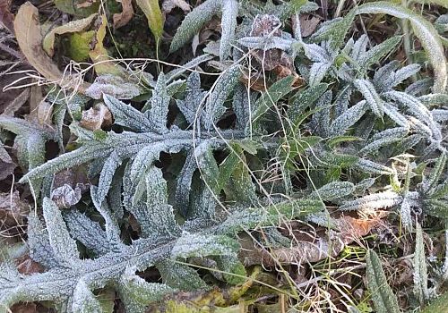 Türkiye’nin En Soğuk Noktası Eksi 6,4 Dereceyle Göle Oldu