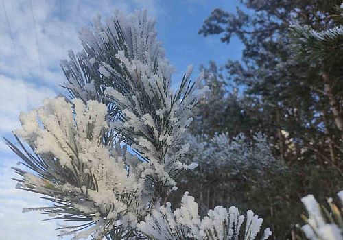Türkiye’nin en soğuk yerleşim yeri sıfırın altında 32,1 dereceyle  Göle ilçesi oldu 