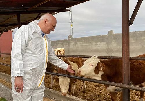 TZOB Genel Başkanı Bayraktar: Şap Hastalığından Etkilenen İşletmelere Destek Verilmeli