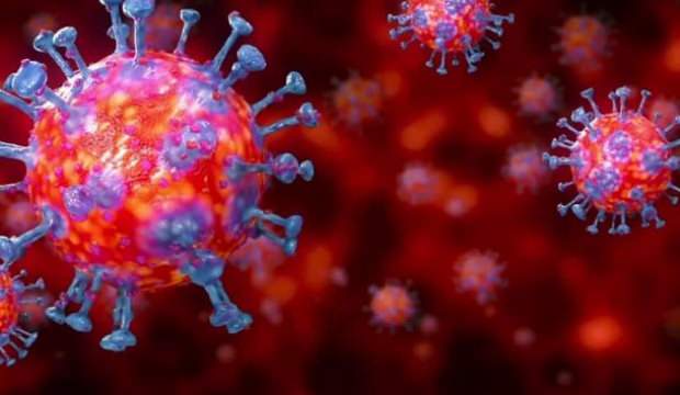 Vaka sayıları sadece Ardahan da Arttı 