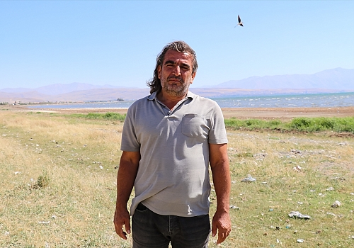 Van'daki martı ölümlerinde salgın hastalık bulgusuna rastlanmadı