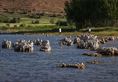 Van Gölü'nde su çekilince binlerce yıllık mikrobiyalitler ortaya çıktı