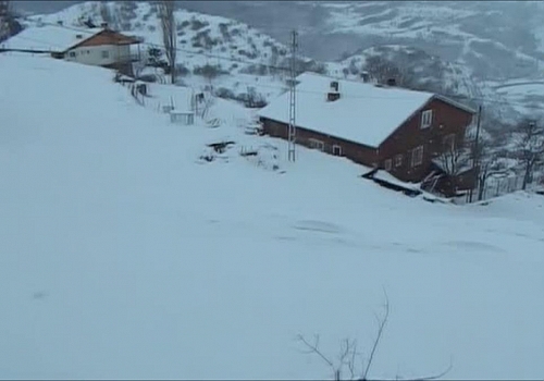 Yoğun kar yağışı Posof'ta etkili oluyor