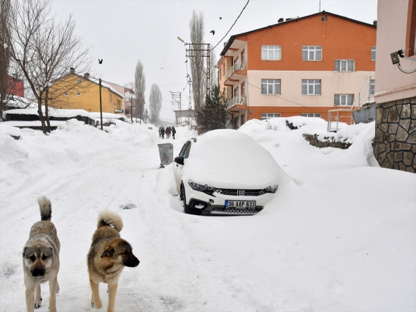 Yoğun karın etkisini sürdürdüğü Doğu Anadolu'da ilkbaharda kış mevsimi yaşanıyor