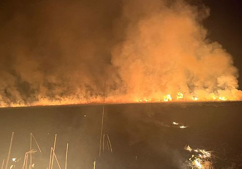 Yüksekova’daki Doğal Cennet Alevlere Teslim: Nehil Sazlığı Yanıyor!