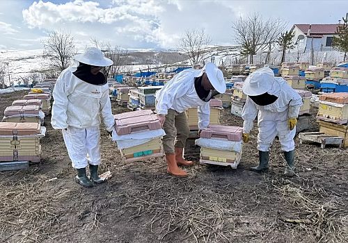 Yüzde 70 Kayıptan Sıfır Zayiata: Ardahanlı Arıcının Nem İle Savaşı