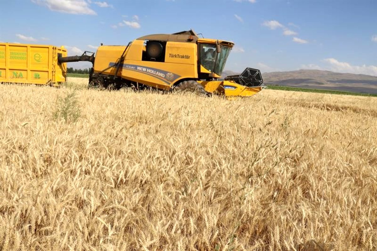 Tarım'da Erzurum farkı