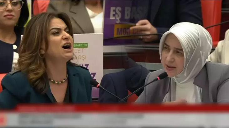 TBMM'de Suriye tartışması: DEM Parti'ye tepki yağdı!