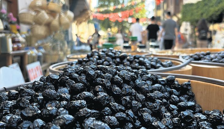 Tirilye’de Zeytin Çiçeği Festivali