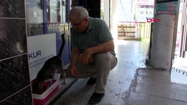 TOKAT 30 yıldır sokak hayvanlarını besliyor